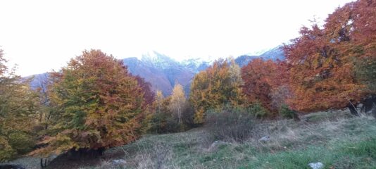 I colori dell'autunno