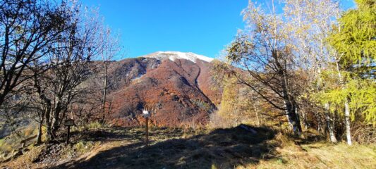 Vista sul monte Vecchio