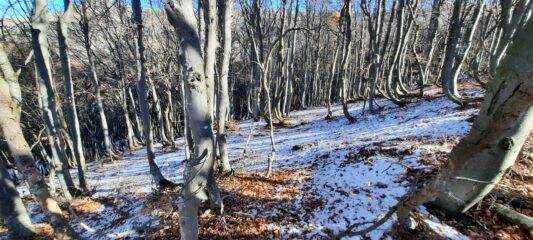 Un po di neve a settentrione