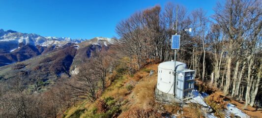Daisy Bell per le valanghe in dorsale