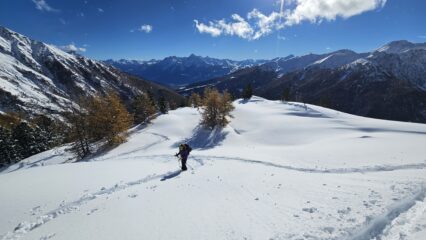 Dopo il bosco sulla dorsale, poco sopra i 2300; ancora poco vento, ma durerà poco.