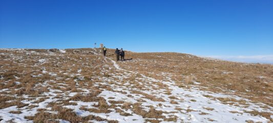 arrivando al Casino del Cars