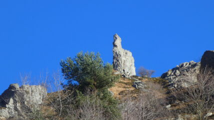 Pingone solitario