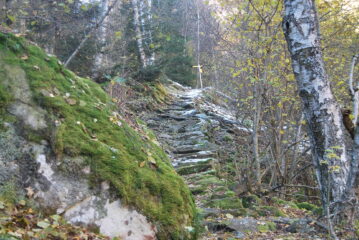 In salita, l’arrivo al bivio con il sentiero 5 presso gli alpeggi di Mognissola