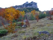colori