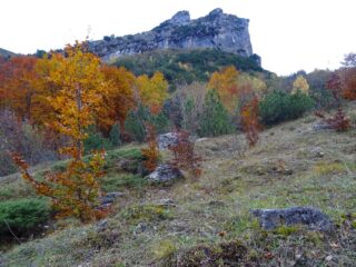 colori