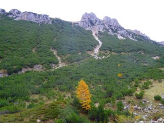 Roccioni di costa Lausea