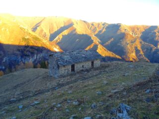 Grangia Pinet