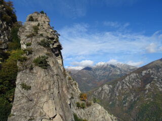 Verso Torre Falconera
