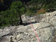 La bella placca da spalmo di L4