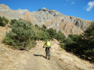 lo sterrato verso quota 1812 m.