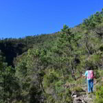 Nella parte alta usciti dal bosco