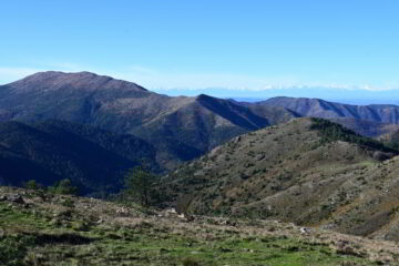 Costa Lavezzara e le Alpi dalla vetta