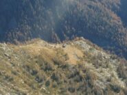 Alpe Ruck dalla cima
