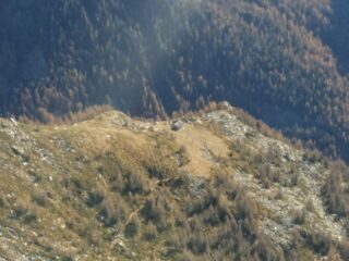 Alpe Ruck dalla cima
