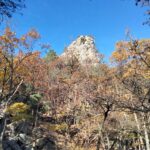 Il Dente meridionale da sotto