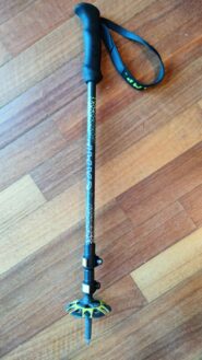 Perso il gemello di questo bastoncino! Se lo ritrovate scrivete!