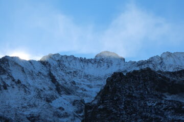 Oriol 3 weeks later (dal Vagliotta)