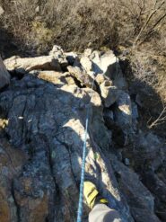 Si riprende dopo il trasferimento nel bosco (50 mt.)