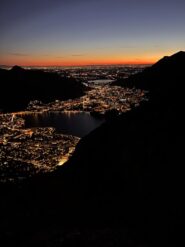 Le luci della città