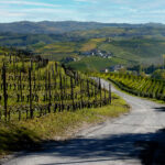 Caratteristiche fondo stradale