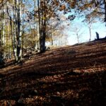 Poco prima di ritrovare i segnavia, poco a valle dell'Alpe Masunchio.