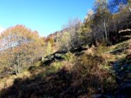 Arrivando all'Alpe Masunchio.