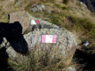 Nome e quota della Cima di Foggia.