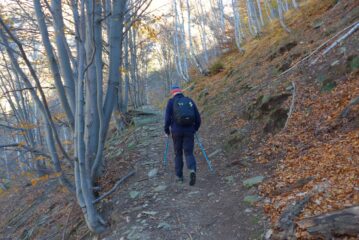 Salendo nel bosco al rifugio degli Invincibili