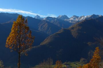 Dopo il bosco il panorama si apre sul Monviso