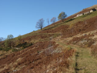 Colori d'autunno
