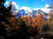 Salendo nel bosco.