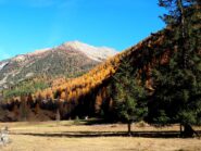 Il Monte Chermontane dai pressi di Masoinasse.
