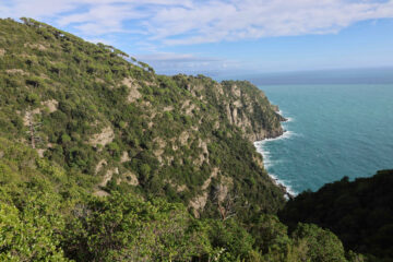 Verso Portofino