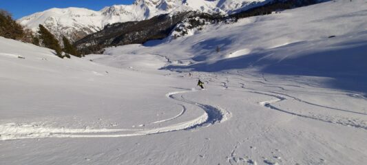 Ancora curve in farina