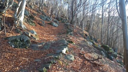 salendo sulla mulattiera