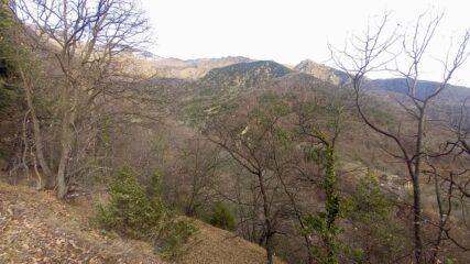 rientrando a Pavaglione in basso Combette in alto la dorsale di conifere oltre la quale siamo scesi