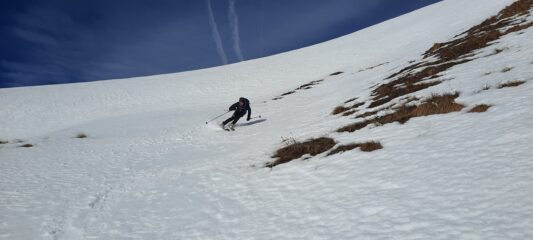 Qualche tratto più morbido si trova