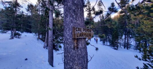 Nel bosco des Oules