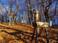 Incontri nel bosco