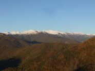Dal crinale 