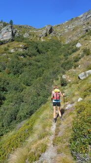 Nel vallone, in un tratto 