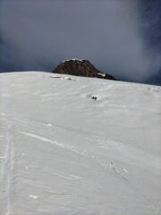 Bocche di balena 