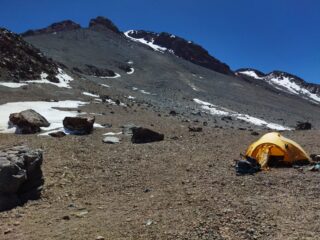 Campo 2