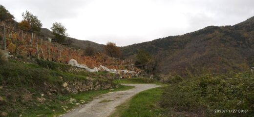 Salita per il Passo di Vena 
