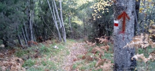 La discesa nel bosco dopo Arzene 