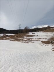 Sfruttando tutte le lingue di neve...