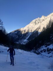 Usciti dal bosco 