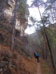 un tratto del sentiero 