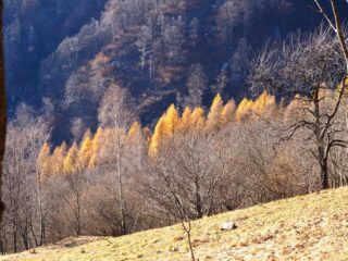Ultimi colori dell'autunno.